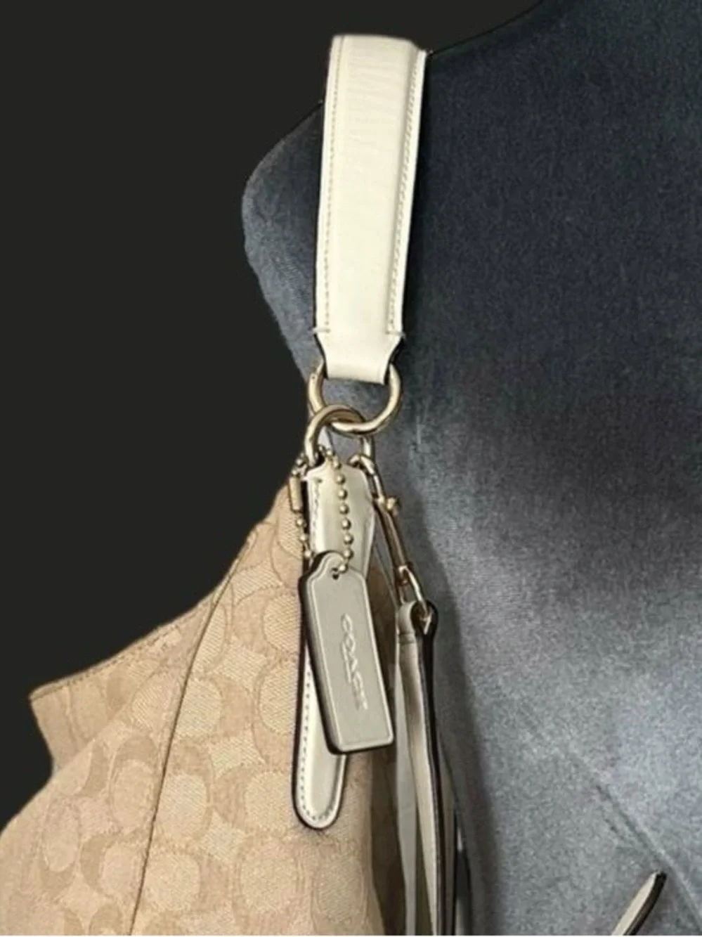 Coach Slouchy Hobo Signature Celeste Monogram Shoulder Convertible Crossbody Bag